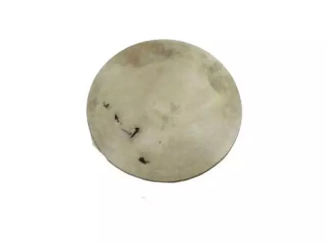 CP9Z6500AAB - Engine: Engine Camshaft Follower for Ford: Bronco, Bronco Sport, C-Max, EcoSport, Edge, Escape, Explorer, Focus, Fusion, Maverick, Mustang, Police Responder Hybrid, Ranger, Special Service Police Sedan, SSV Plug-In Hybrid, Taurus, Transit Connect | Lincoln: Corsair, MKC, MKT, MKZ, Nautilus | Mercury: Mariner, Milan Image