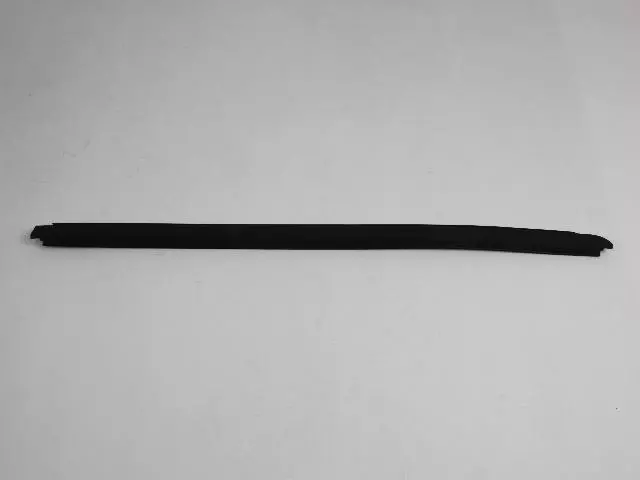 55395268AD - Doors, Door Mirrors and Related Parts: Door Belt Outer Weatherstrip, Right for Jeep: Wrangler, Wrangler JK Image