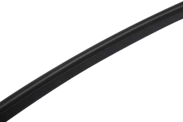 Driver Side Rear Door Lower Auxiliary Weatherstrip - GM (23267366)