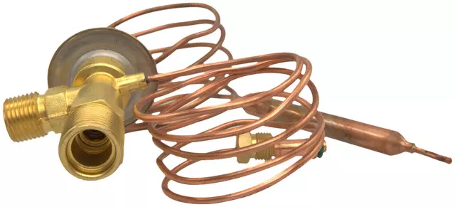 Valve - GM (19189767)