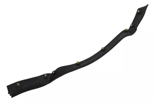 20812988 - Body: Seal Strip for Buick: Enclave Image