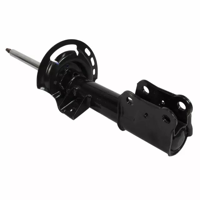 Motorcraft™ Strut - Ford (AST-806090)