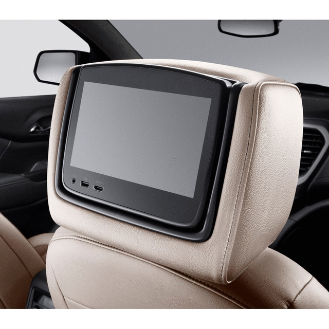 Headrest and Video Screen Assembly - GM (84690223)