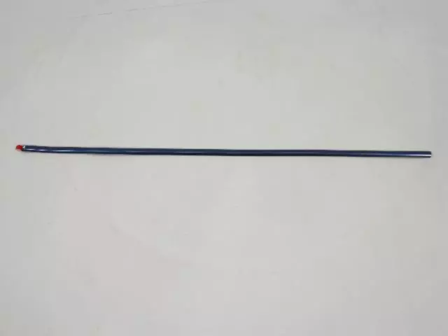 Front Door Molding - Mopar (1DH75CB6AB)