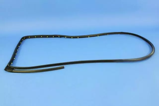 55399214AG - Doors, Door Mirrors and Related Parts: Rear Door Opening Weatherstrip, Right for Mopar Image