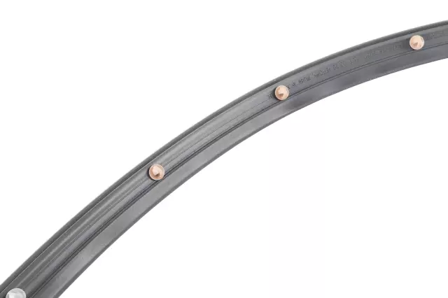 42766262 - : Front Passenger Side Door Weatherstrip for Chevrolet: Trailblazer, Trax Image