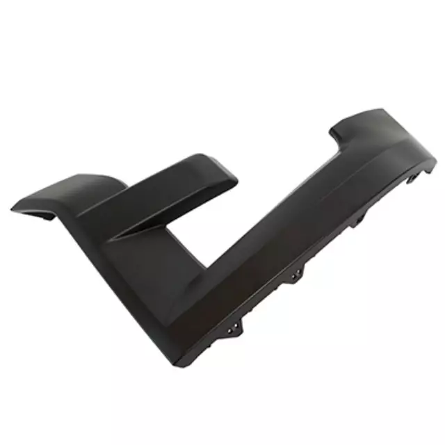 Trim Molding - Ford (FL3Z-17C755-BPTM)