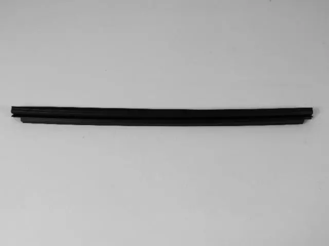 55112373AL - Doors, Door Mirrors and Related Parts: Front Door Belt Inner Weatherstrip, Right &amp; Left for Dodge: Ram 1500, Ram 2500, Ram 3500 | Ram: 1500, 1500 Classic, 2500, 3500 Image
