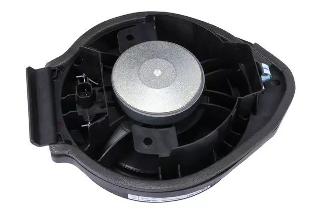 F Speaker - GM (85123716)