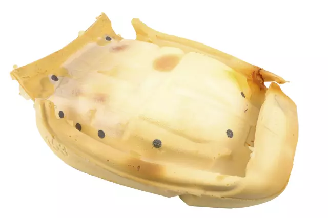 Driver Seat Back Pad - GM (23103682)