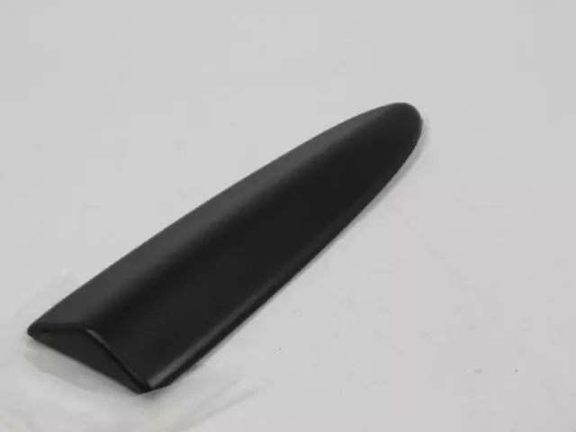 55077166AC - Body: Side Molding for Dodge: Ram 1500, Ram 2500, Ram 3500 Image