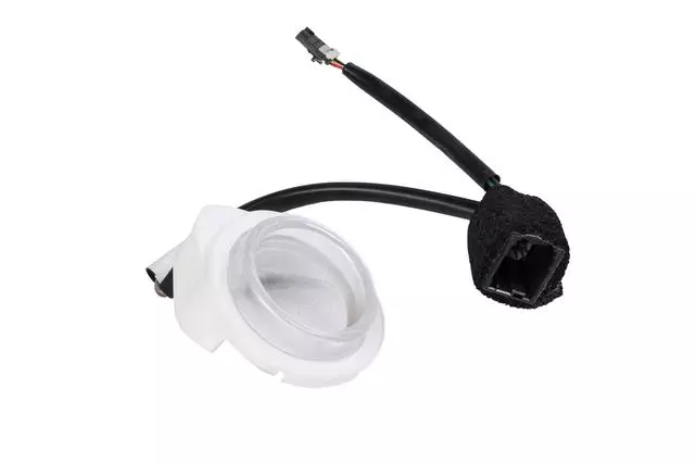 Cylinder Bezel - GM (20941746)