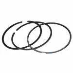 8C3Z6148A - : OEM NEW 2008-10 Ford F250 F350 S Super Duty Standard Kit Piston Rings 8C3Z6148A for Ford: F-250 Super Duty, F-350 Super Duty, F-450 Super Duty, F-550 Super Duty Image