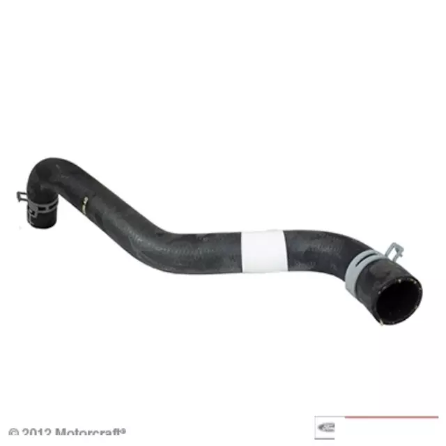 Lower Hose - Ford (1L5Z-8286-AD)