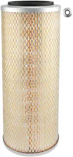 PA2946 - : Air Element for Baldwin Image
