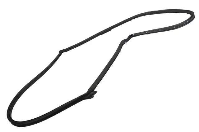 Door Weather-Strip - GM (20805482)