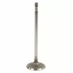 JL3Z6507A - : Intake Valve for Ford: F-150, Mustang Image