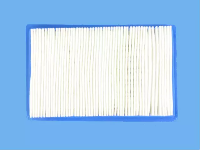 Filter - Mopar (4891695AA)