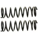 81161 - : Coil Spring Set for Moog Image