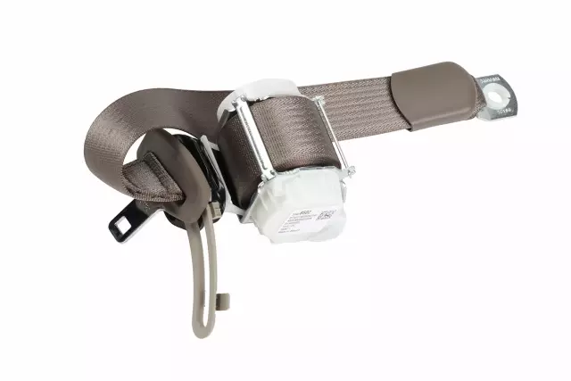 19302988 - Electrical: Outer Belt Assembly for Cadillac: Escalade | Chevrolet: Tahoe | GMC: Yukon Image