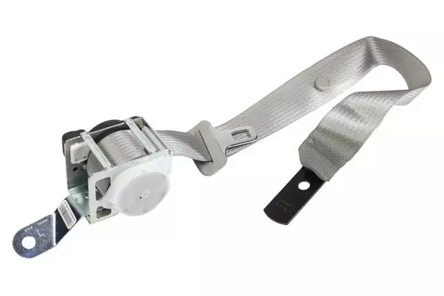 19257569 - Electrical: Outer Belt for Cadillac: CTS Image