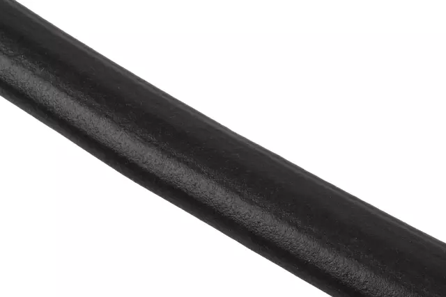 Weatherstrip - GM (23204899)