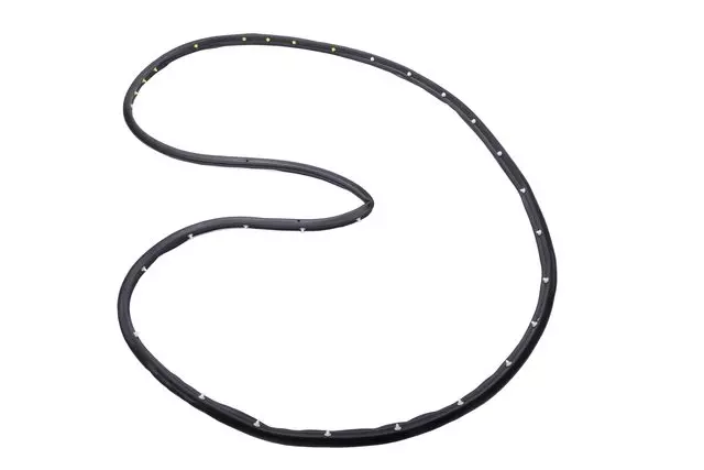 20954941 - Body: Door Weather-strip for Buick: LaCrosse Image