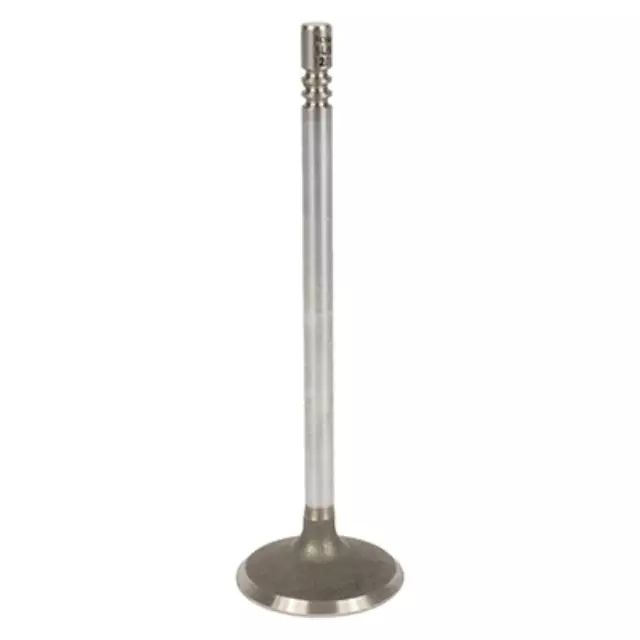 Intake Valve - FORD (al8z6507a)