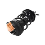810092 - : 13-16 Dodge Dart Limited Suspension Strut and Coil Spring Assembly for GSP Image