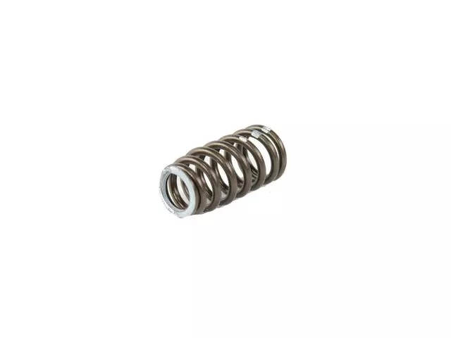 Intake Valve Spring - Mopar (05048237AB)