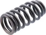 132036KA0A - : Valve Springs for INFINITI: QX60 Image