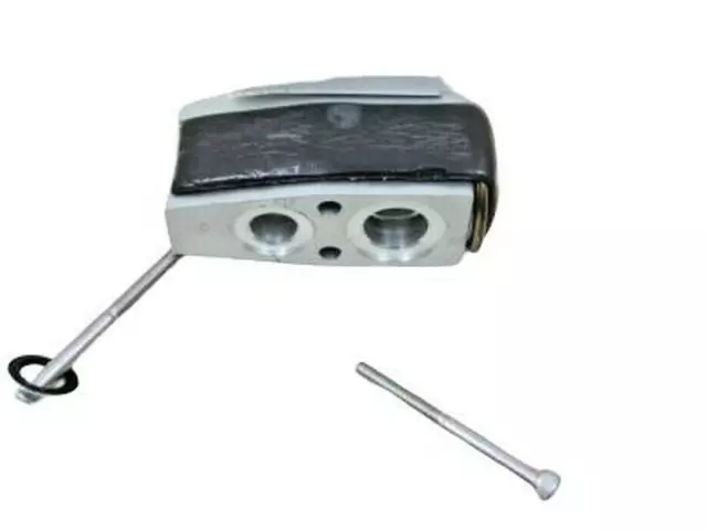 Expansion Valve - Ford (DG9Z-19849-B)