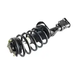 812005 - : Chrysler, Dodge, Volkswagen Suspension Strut and Coil Spring Assembly for GSP Image