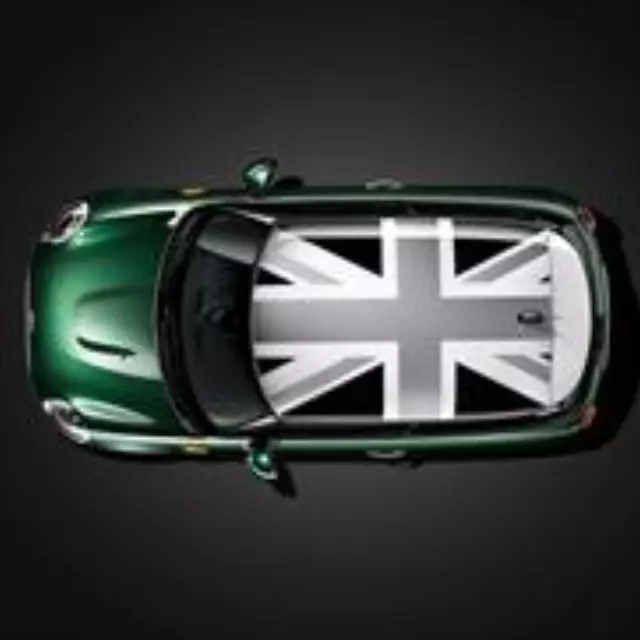 Vivid Green Roof Graphic - With Sunroof - Mini (51-14-2-355-193)