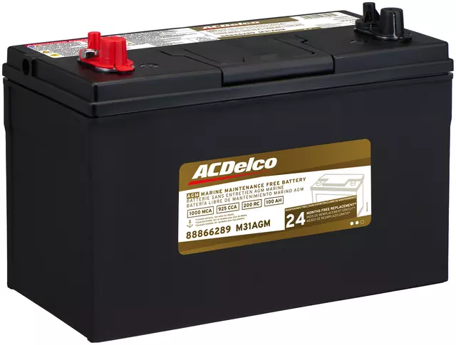 Vehicle Battery - ACDelco (M31AGM)