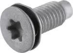 143300171 - Body: Striker Screw for Nissan: Juke, LEAF, Qashqai, Rogue Sport Image