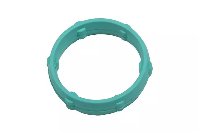 96991996 - : Engine Oil Pump Gasket for Chevrolet: Spark Image