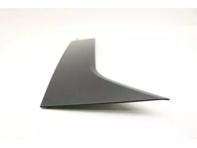 Front Molding - Ford (DT1Z-1720938-BA)