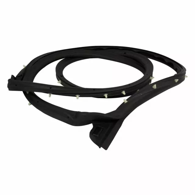 Door Weather-Strip - Ford (DN1Z-7420530-D)