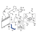 8V2Z8260A - Cooling System: Upper Hose for Ford: Fiesta Image