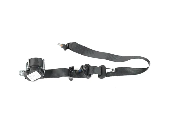 Outer Belt Assembly - Mopar (7AX80TX7AB)