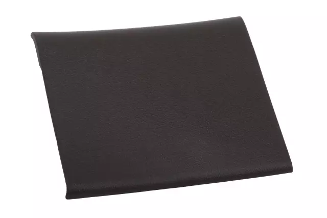 84255649 - Body: Rear Sill Plate for GM Image