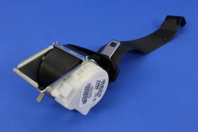 Outer Belt Assembly - Mopar (1VA70DX9AF)