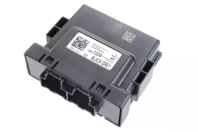 13531324 - : F (S)Module for GM Image