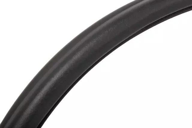 Rear Side Door Weatherstrip - GM (94550171)