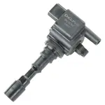 GN10384 - : Ignition Coil for DELPHI Image