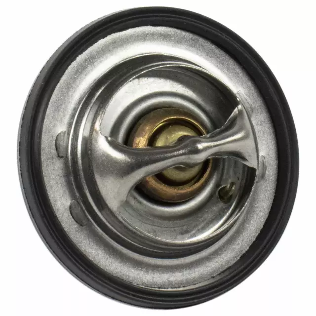 Thermostat Assembly - Ford (QRT-30)