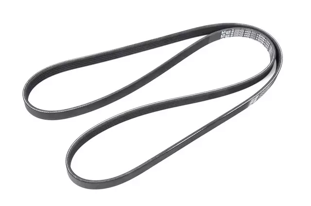 55587929 - : Serpentine Belt for ACDelco Image