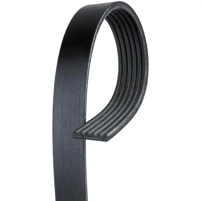 12564763 - Cooling System: Serpentine Belt for GM Image