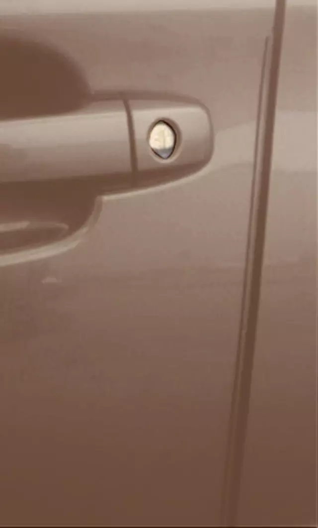 SOA801P051Q1 - : Door Edge Guards - Sepia Bronze Metallic for Subaru Image